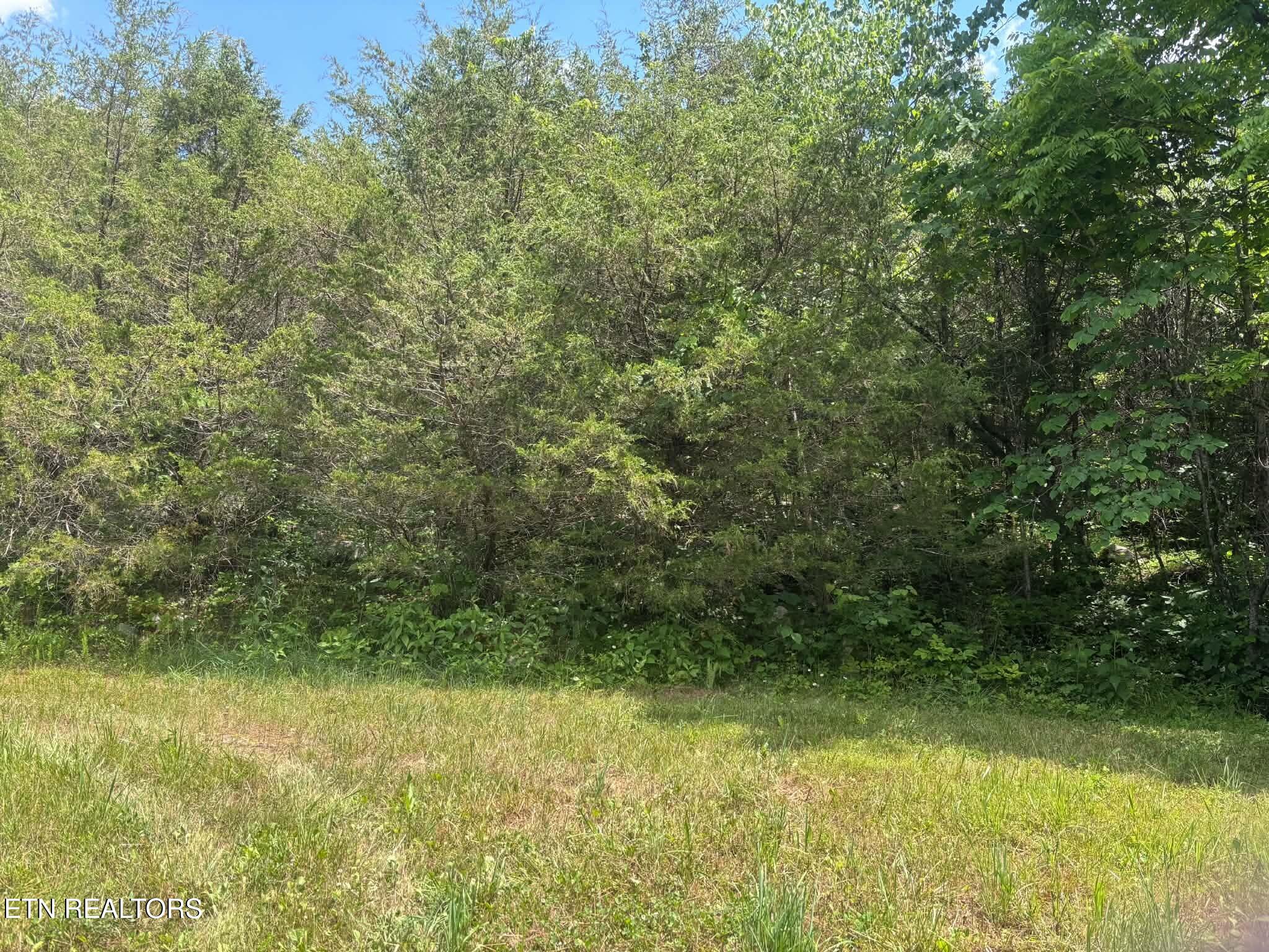 0 Mulberry Gap Road Tazewell, TN 37879 - Photo 1 of 5 a75bdf59-33d4-4946-88e4-f956768c3175 (1)