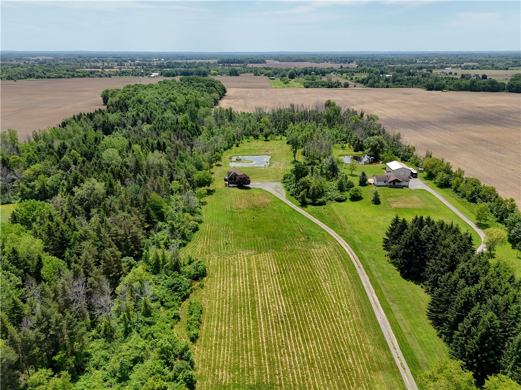 507 Moscow Road Hamlin, NY 14464 - Photo 5 of 49