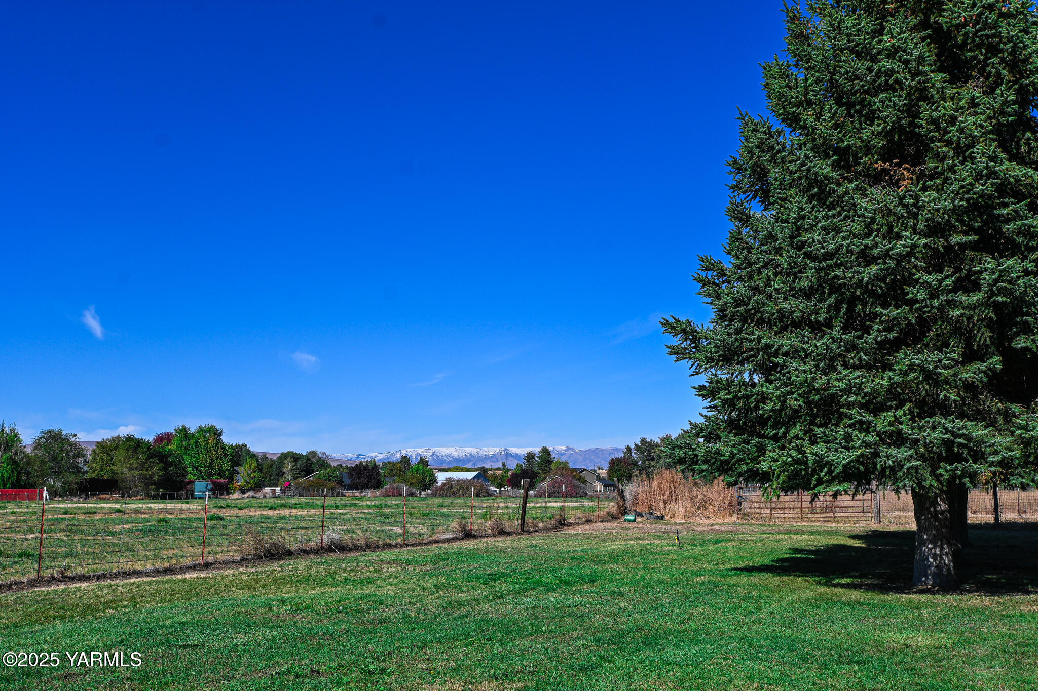 9621 Meadowbrook Road Yakima, WA 98903 - Photo 40 of 41 a view of grassy field with trees