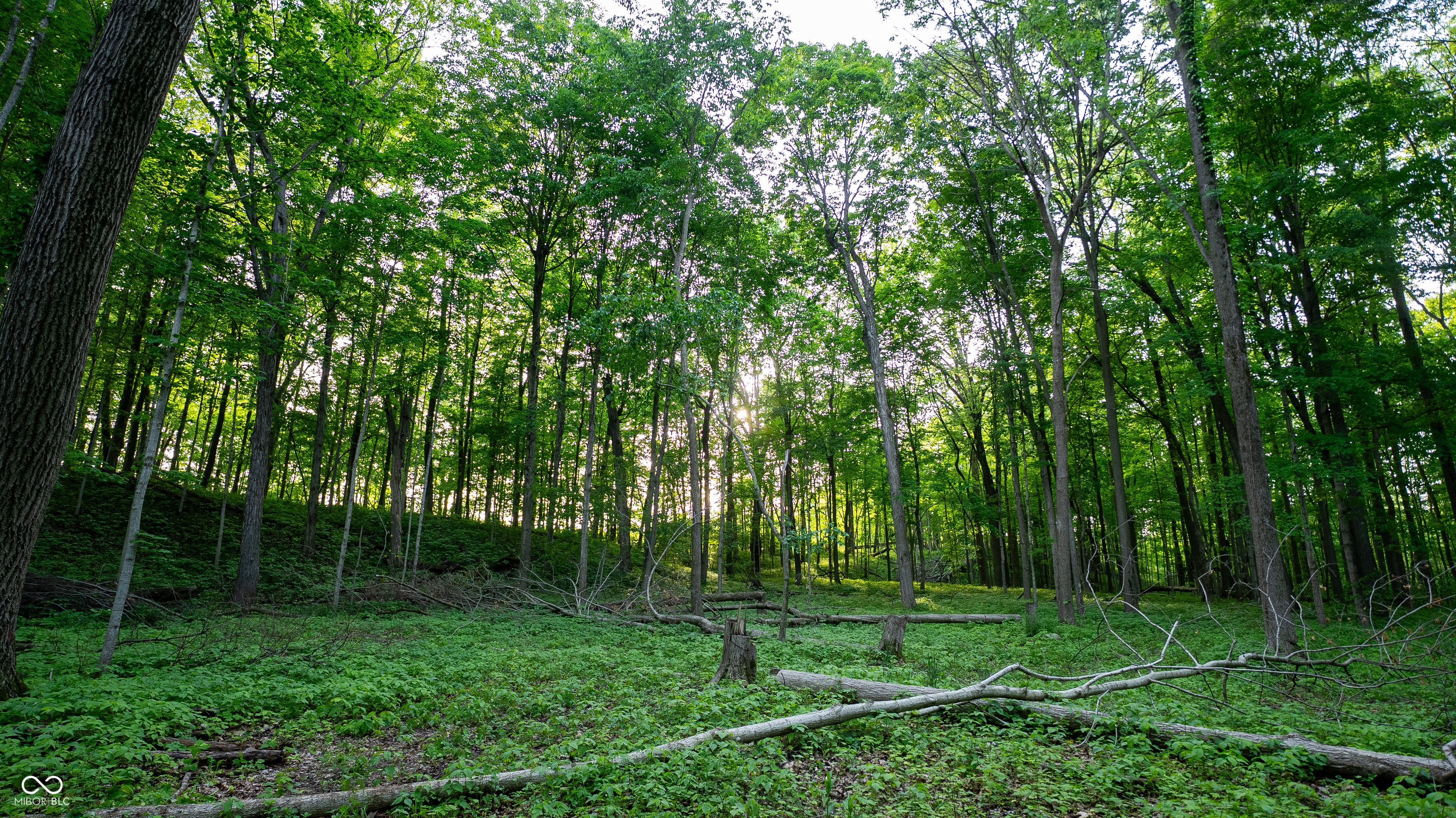 910 South 800 E Road Zionsville, IN 46075 - Photo 97 of 109