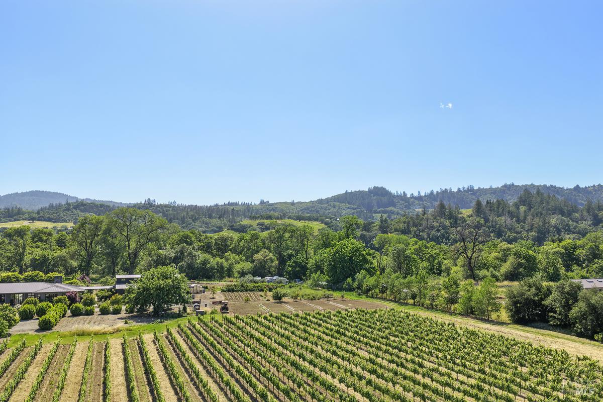 5091 Dry Creek Road Healdsburg, CA 95448 - Photo 4 of 52