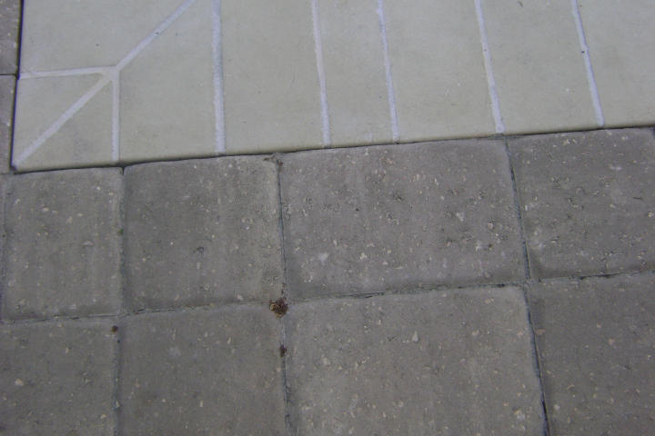 3815 Highway 90 Crestview, FL 32539 - Photo 34 of 37 Brick paver