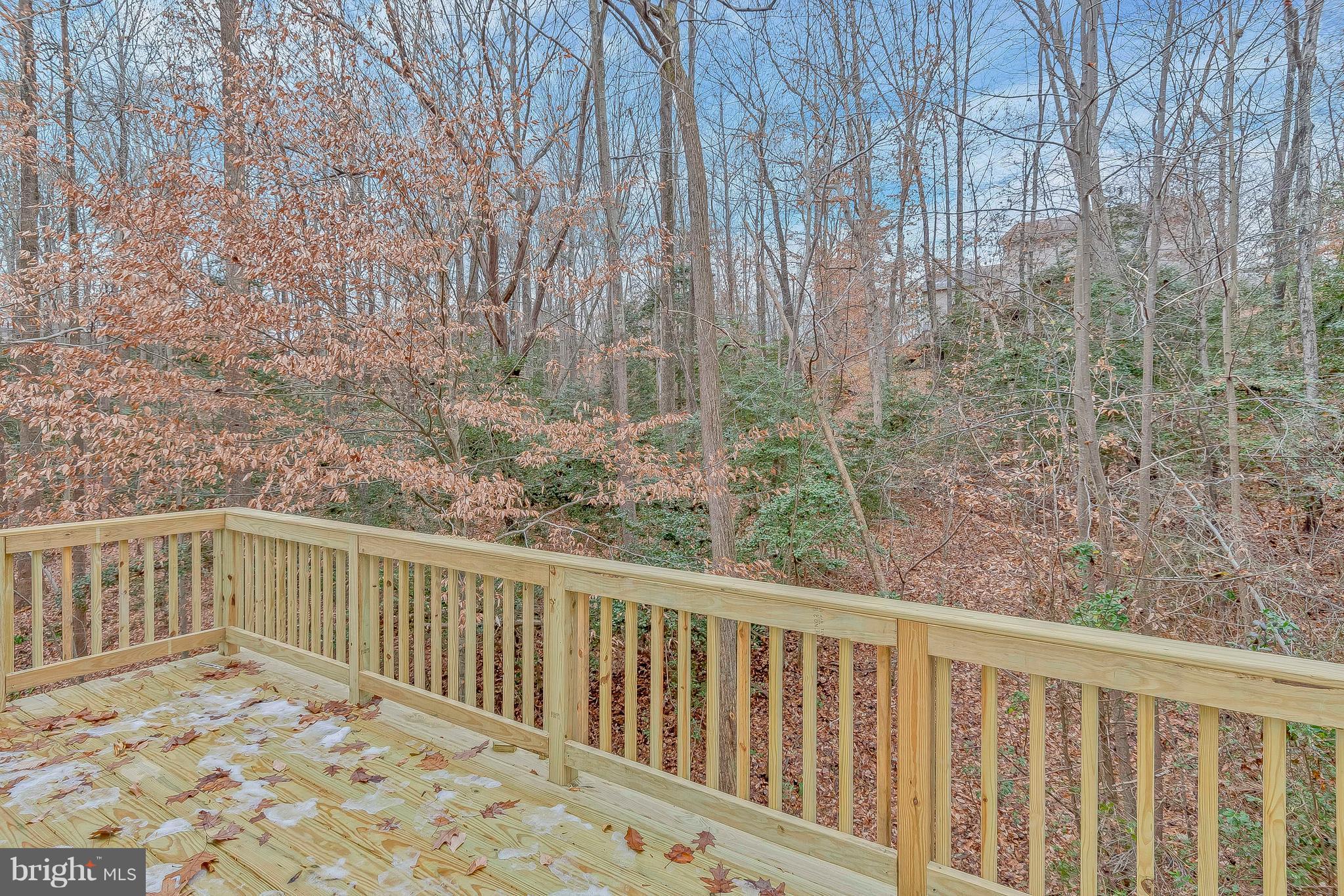 8429 Halsey Road Lusby, MD 20657 - Photo 29 of 29 Exterior (Rear)