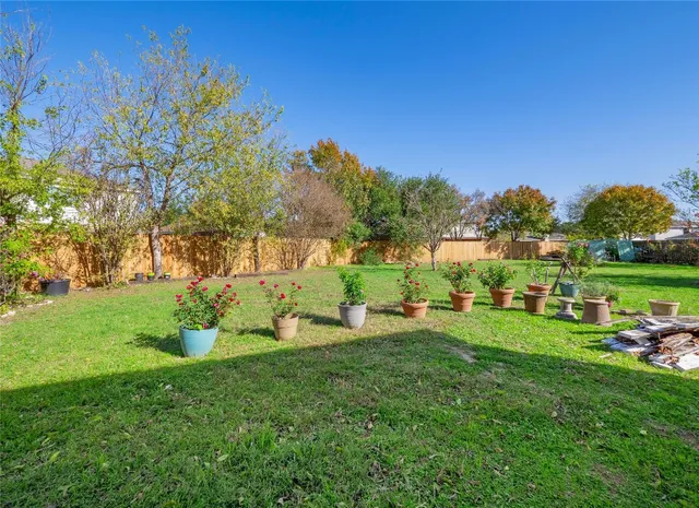 a view of a park with large trees