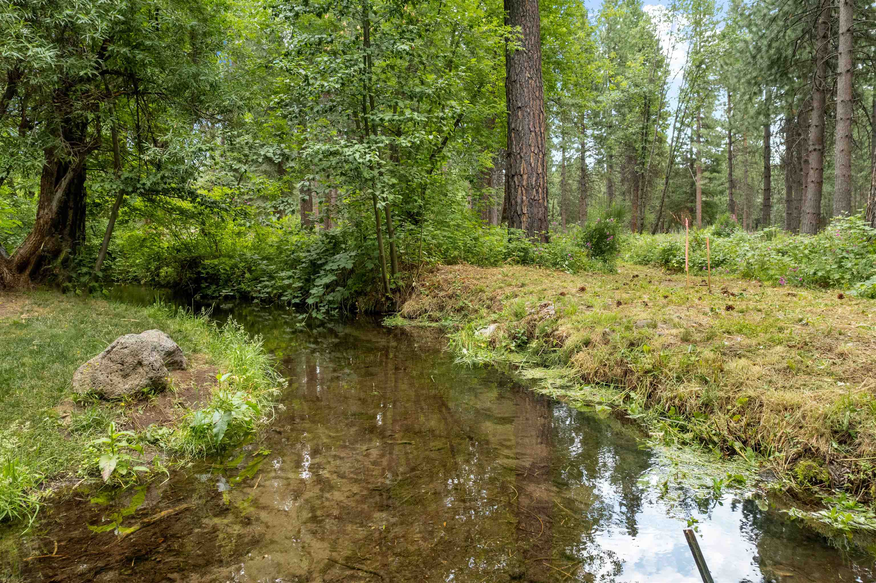 Lot C Red Cloud Rnch Road McCloud, CA 96057 - Photo 1 of 21 Gallery Image 1