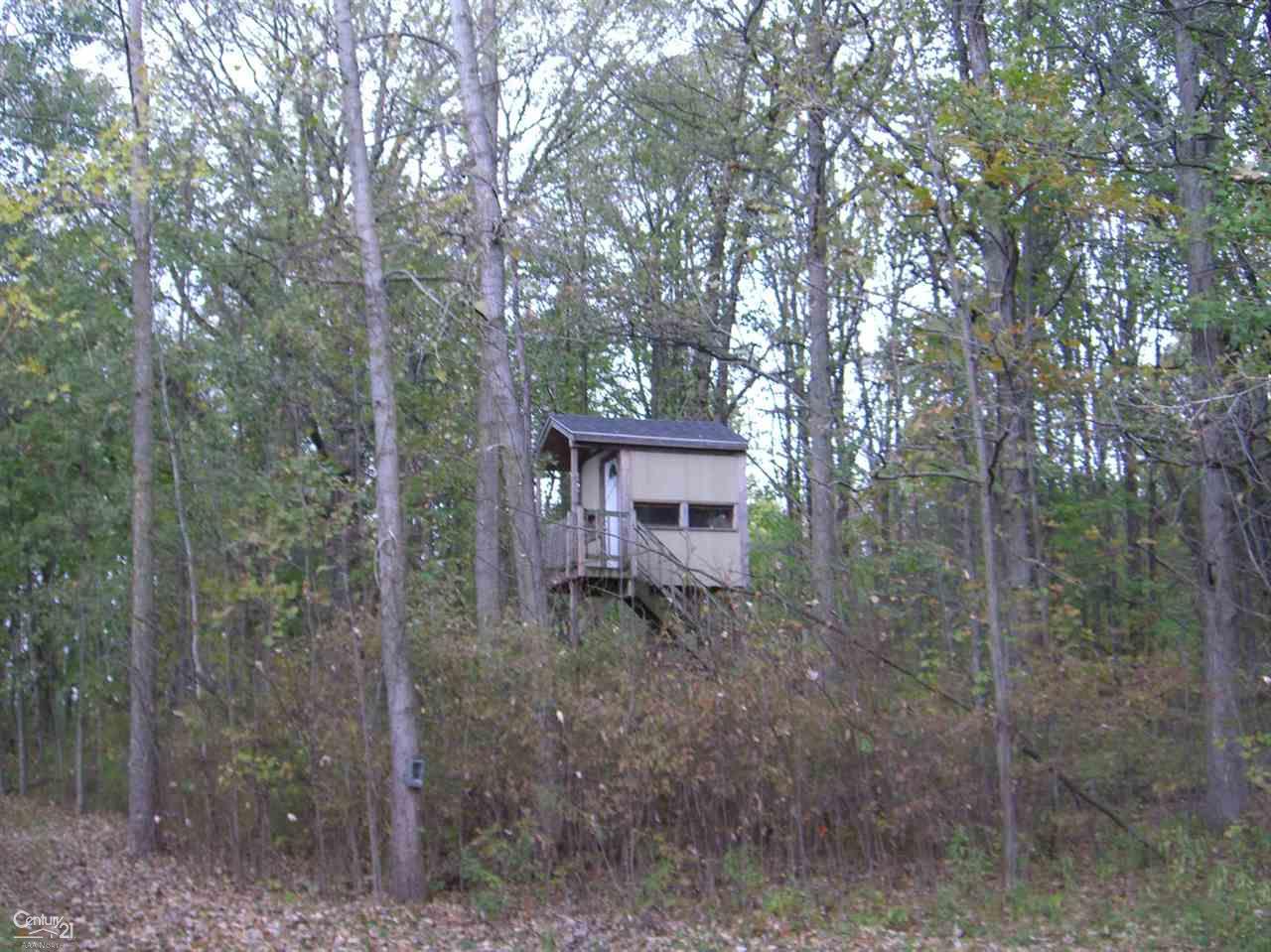 77435 Capac Road Armada, MI 48005 - Photo 12 of 45