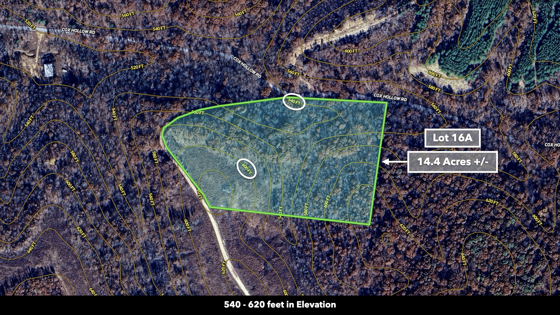 0 Cox Hollow Road Dover, TN 37058 - Photo 4 of 50