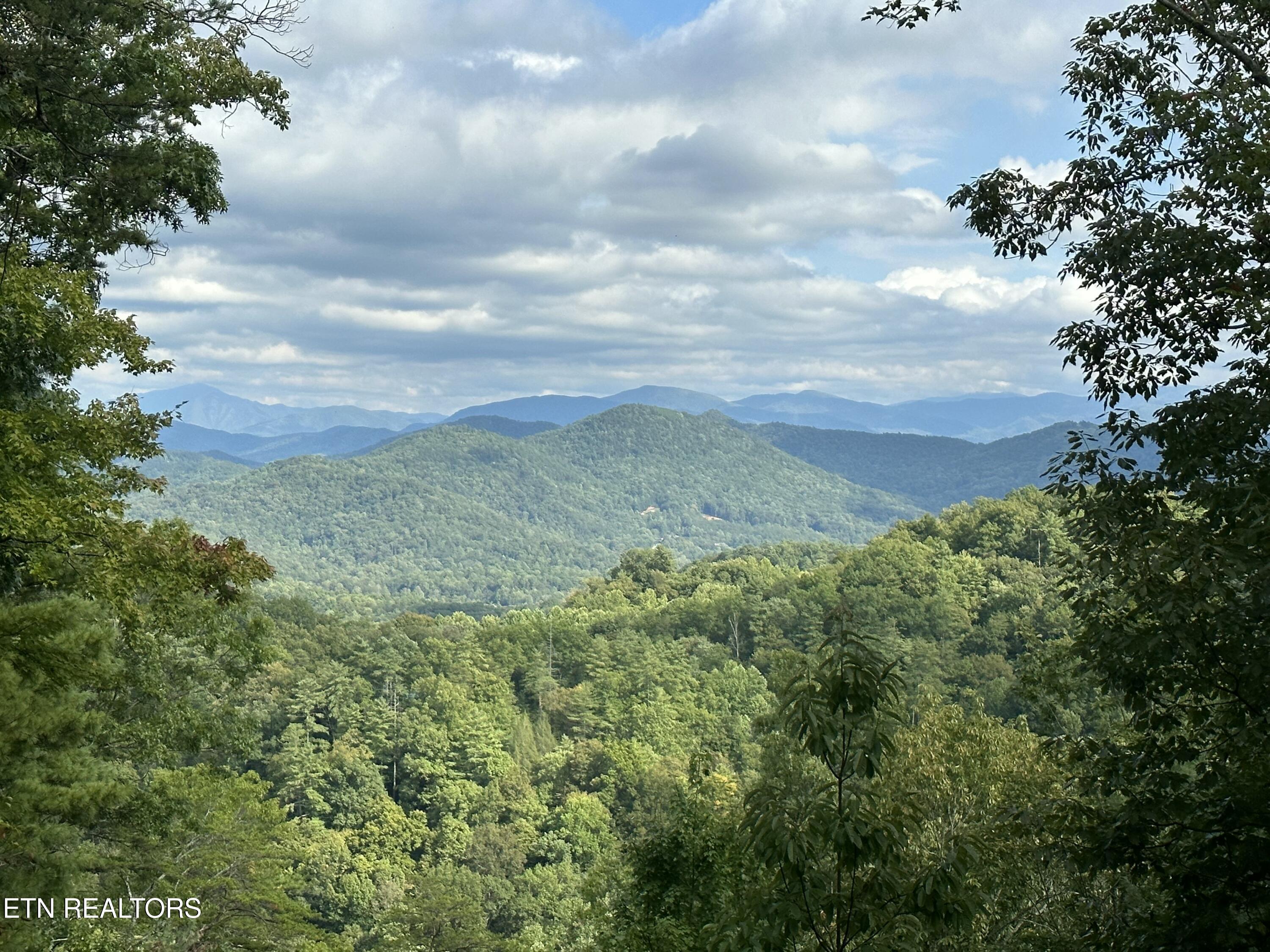 Bear Den Road Townsend, TN 37882 - Photo 6 of 23 IMG_7105