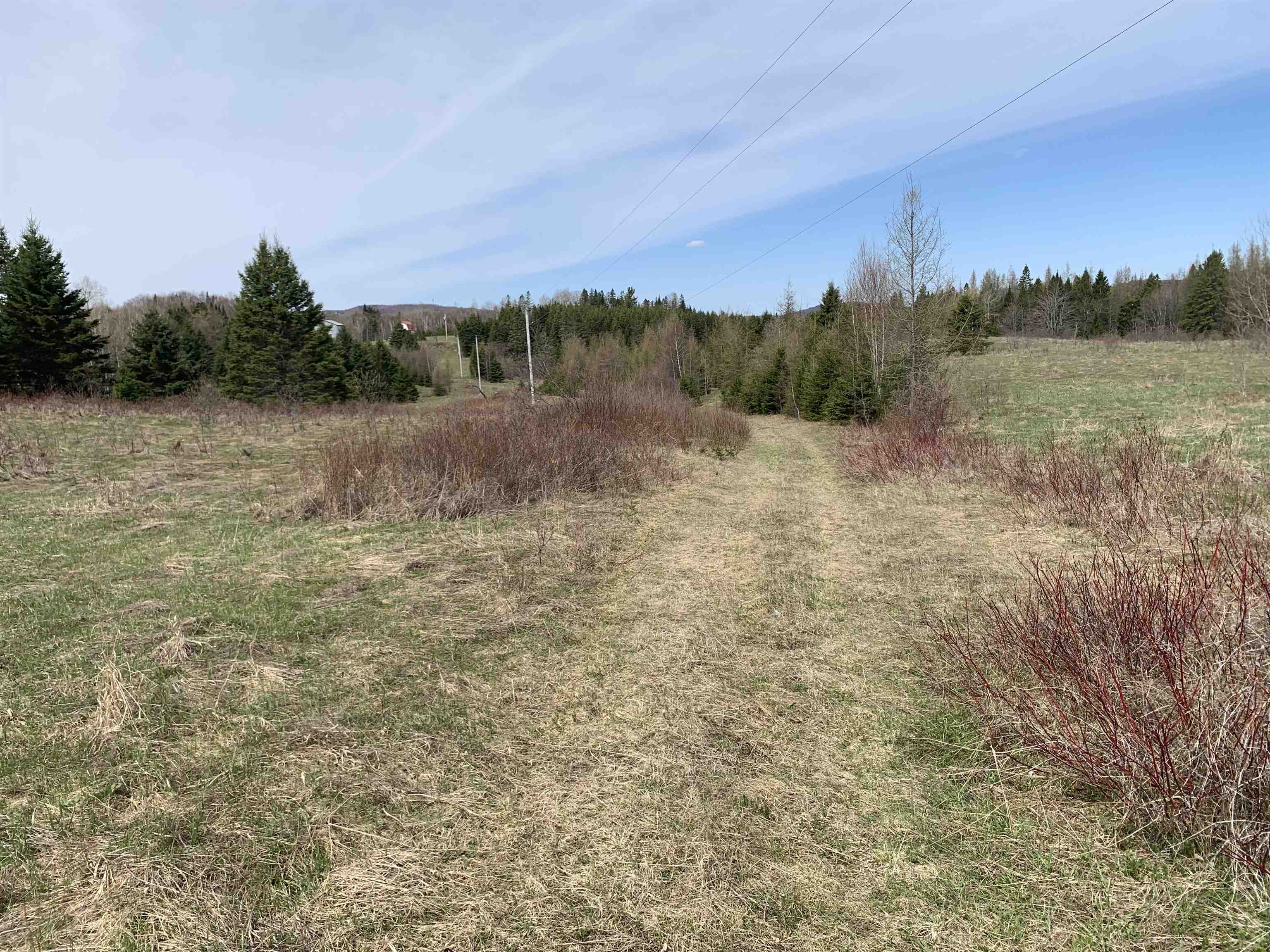 53 North Hill Road Stewartstown, NH 03576 - Photo 3 of 16