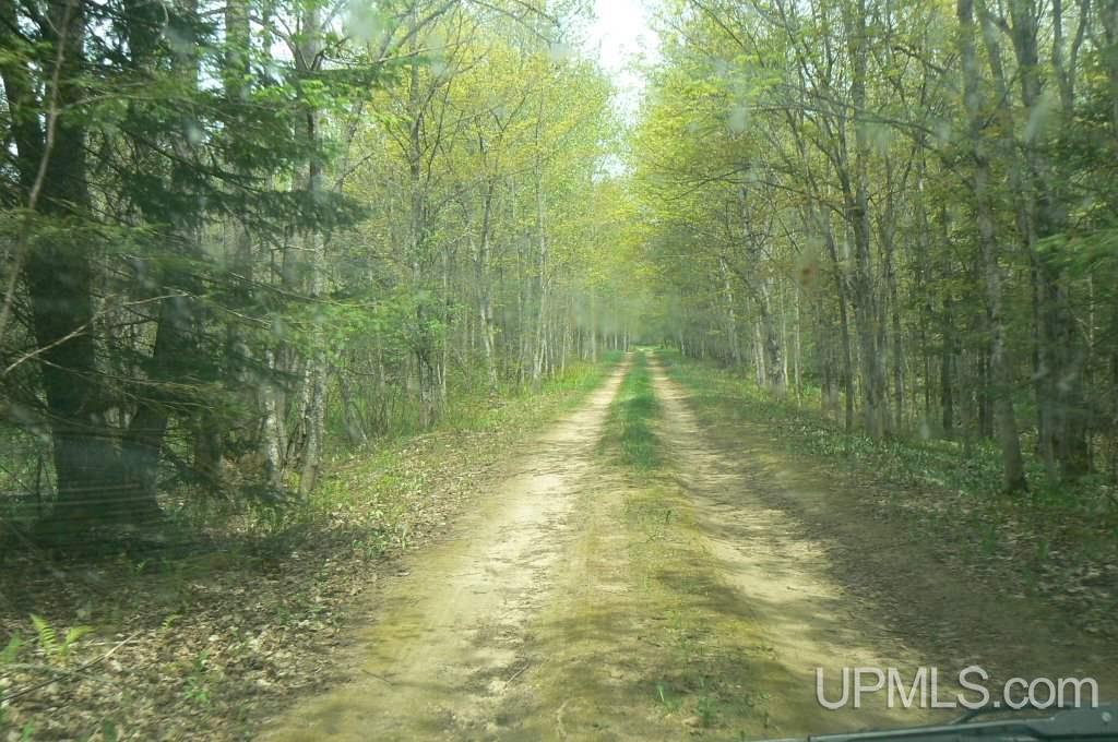 Tbd Country Lane Road Skandia, MI 49826 - Photo 12 of 33