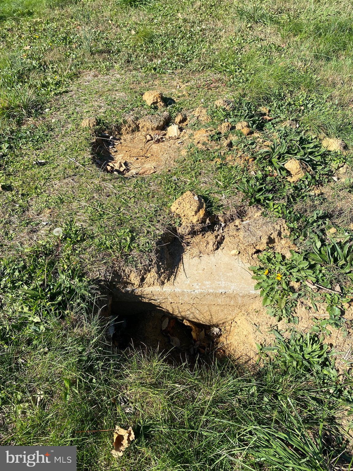 Lot 3 Connector Road Martinsburg, WV 25405 - Photo 6 of 7 Existing Septic