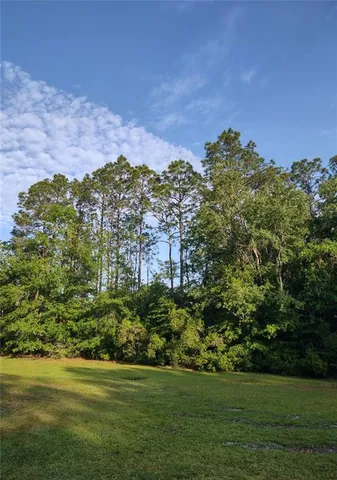 a view of a garden with a building in the background