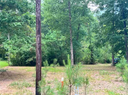 $62,000 | Tbd Little Creek Drive, Coldspring, TX 77331