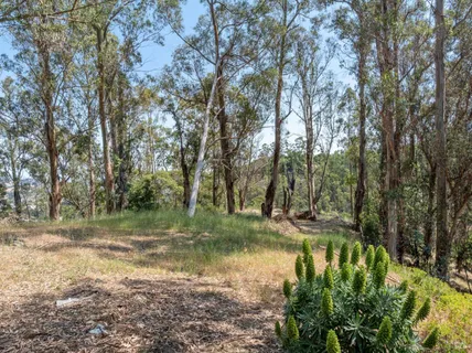 $2,800,000 | 0 Chula Vista Drive, San Rafael, CA 94901
