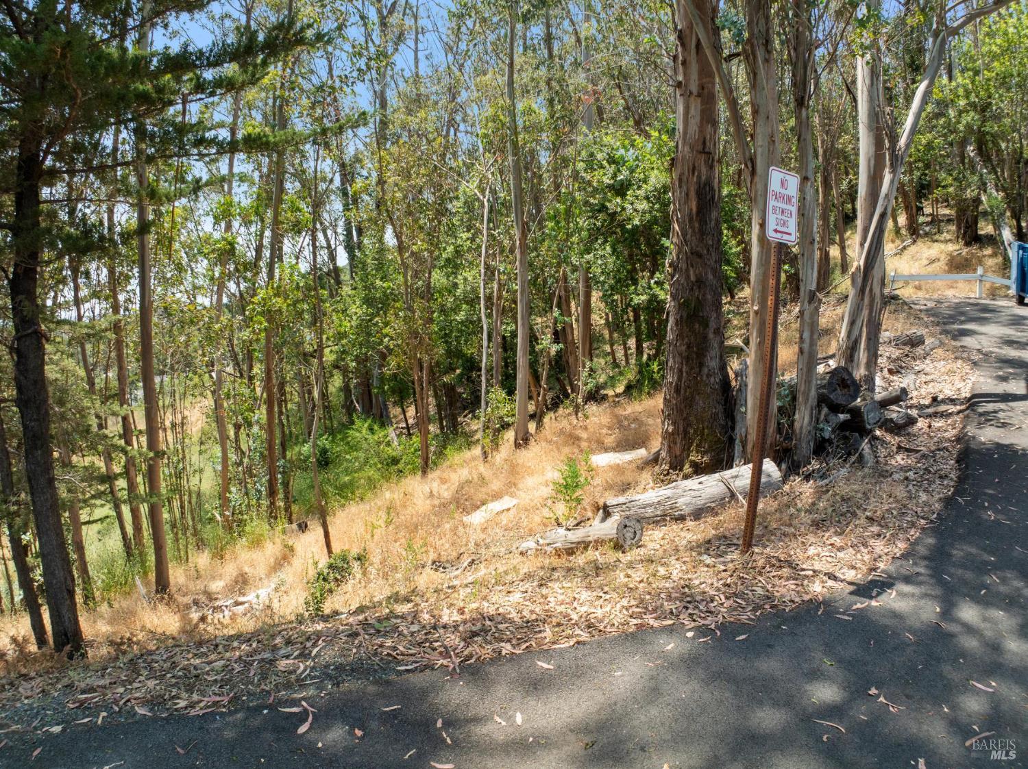 0 Chula Vista Drive San Rafael, CA 94901 - Photo 5 of 8