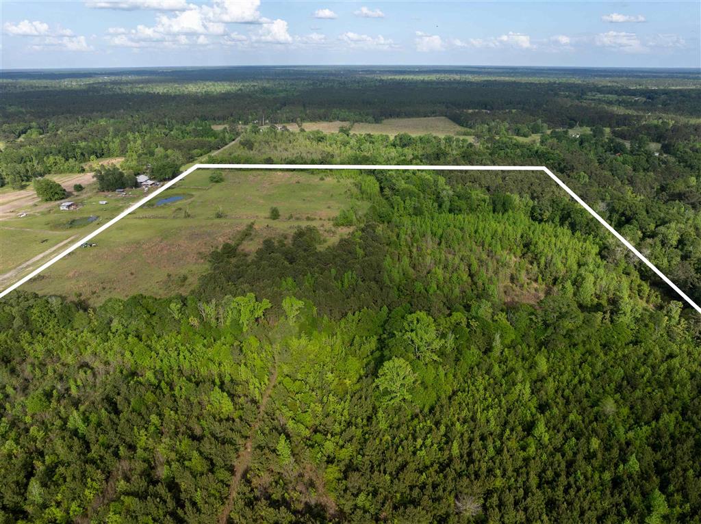 0 Odis Greene Road Deridder, LA 70634 - Photo 6 of 17 Gallery Image 6