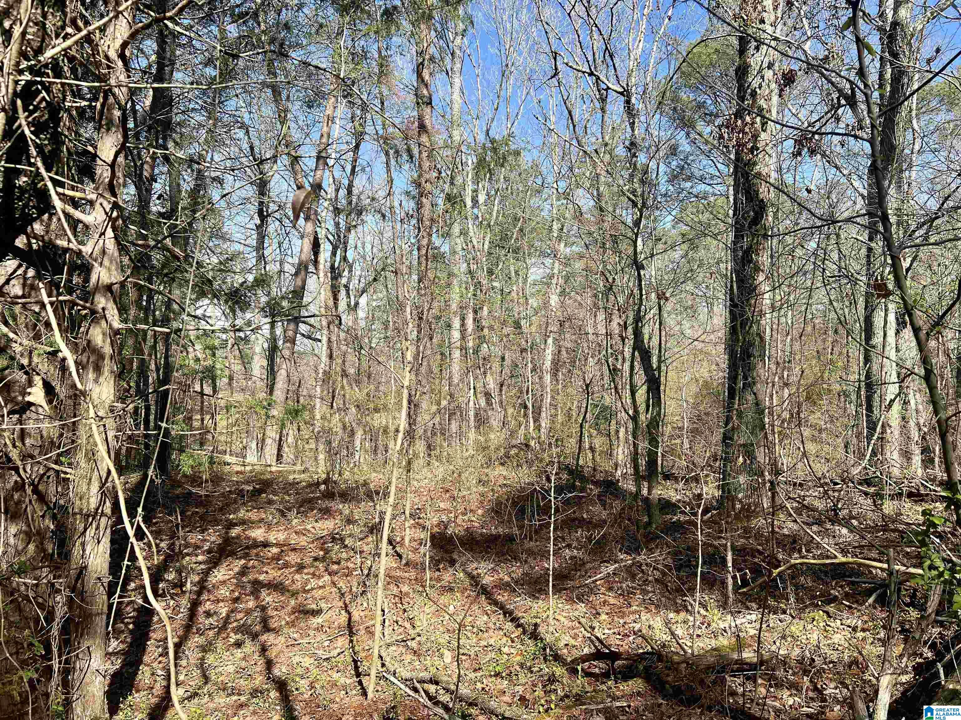 0 Lakeshore Lane, Unit 4 Oneonta, AL 35121 - Photo 46 of 49