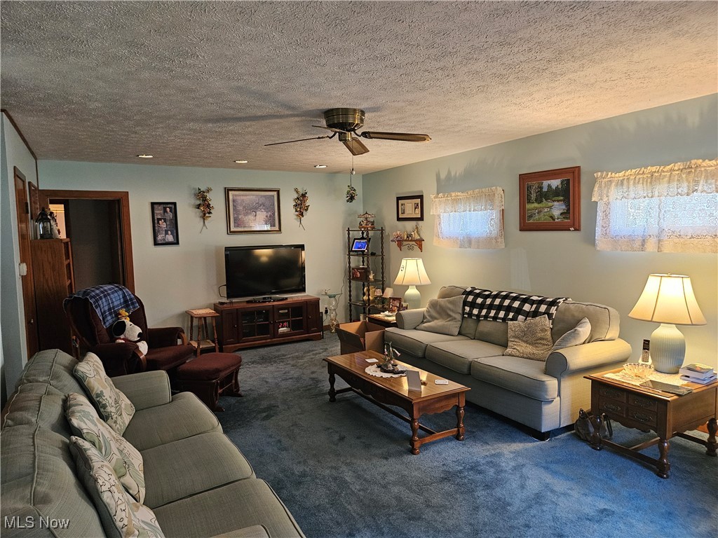 1914 Sandgate Road Madison, OH 44057 - Photo 10 of 13 Carpeted living room featuring ceiling fan and a textured ceiling