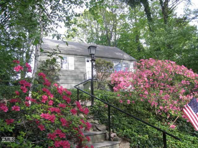 a picture of flowers