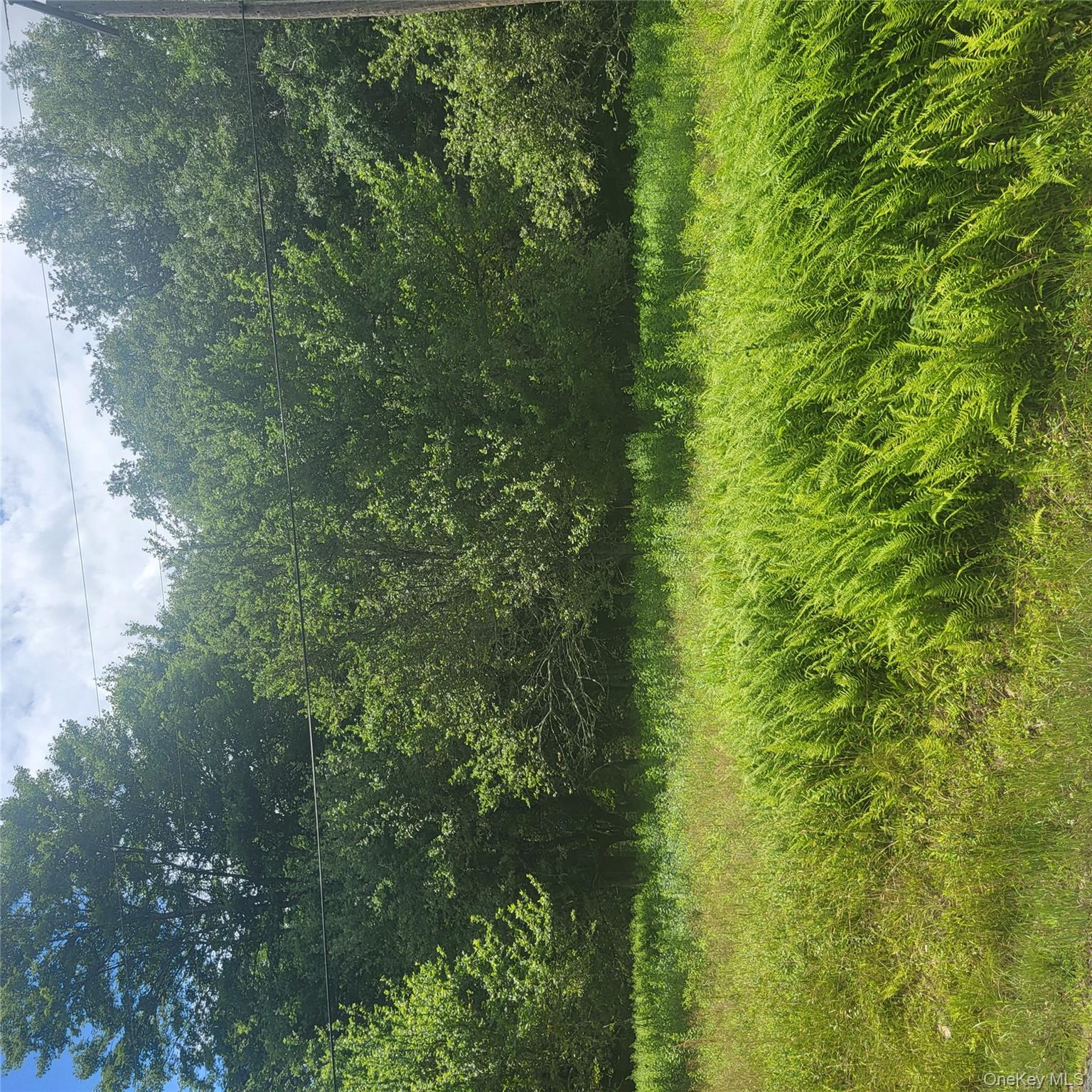 ** Creamery Road Mongaup Valley, NY 12720 - Photo 1 of 7 a view of outdoor space and yard