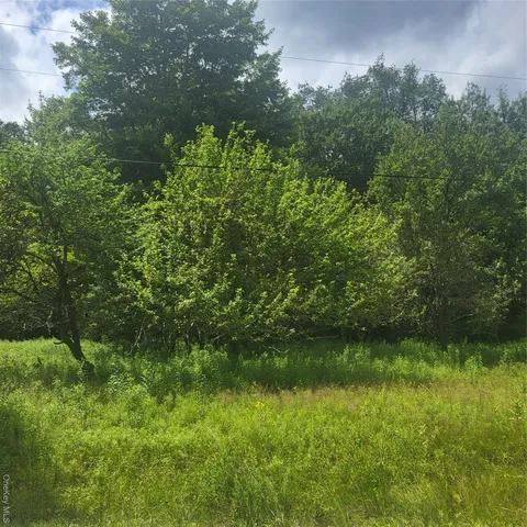 a view of a lush green space