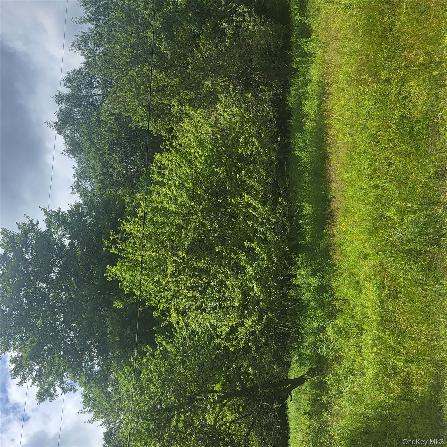 ** Creamery Road Mongaup Valley, NY 12720 - Photo 2 of 7 a view of a lush green space