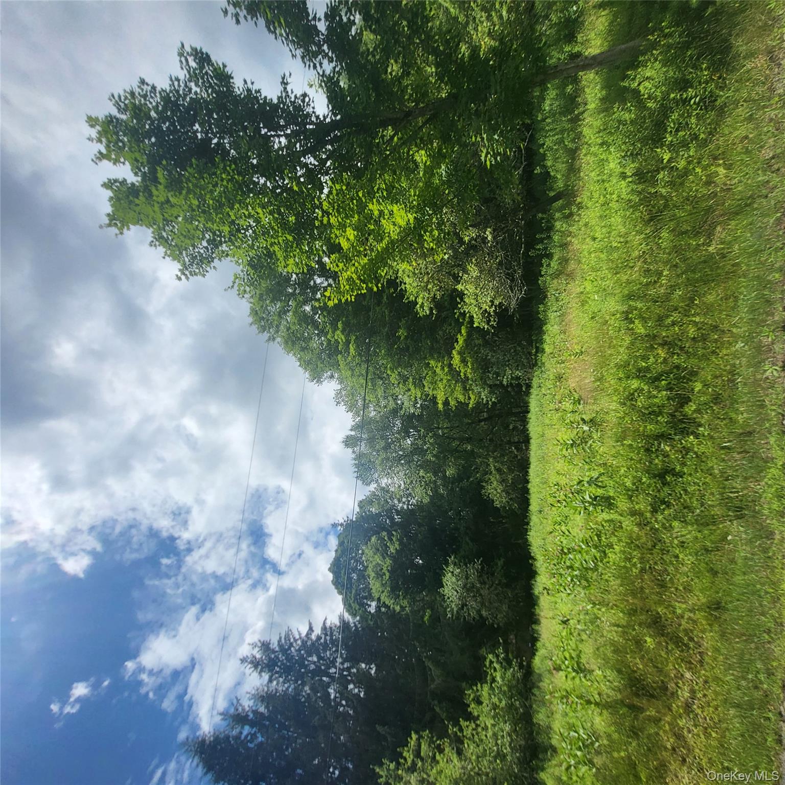 ** Creamery Road Mongaup Valley, NY 12720 - Photo 3 of 7 a view of a yard