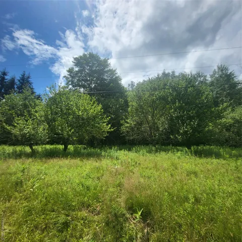 a view of a green yard