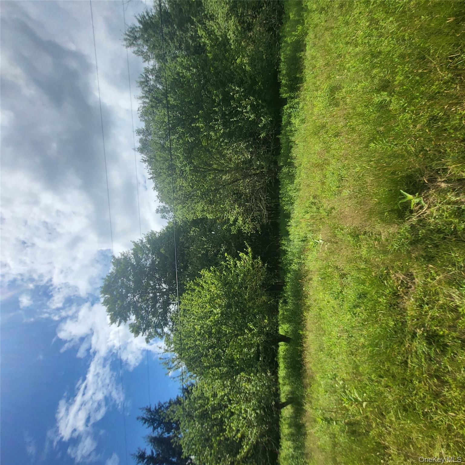 ** Creamery Road Mongaup Valley, NY 12720 - Photo 4 of 7 a view of a green yard