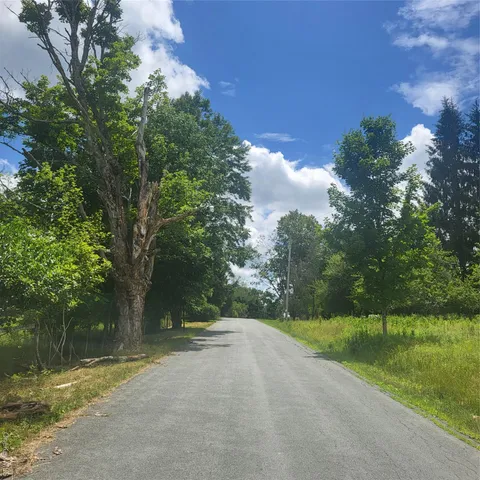 a view of a street with a yard and a trees
