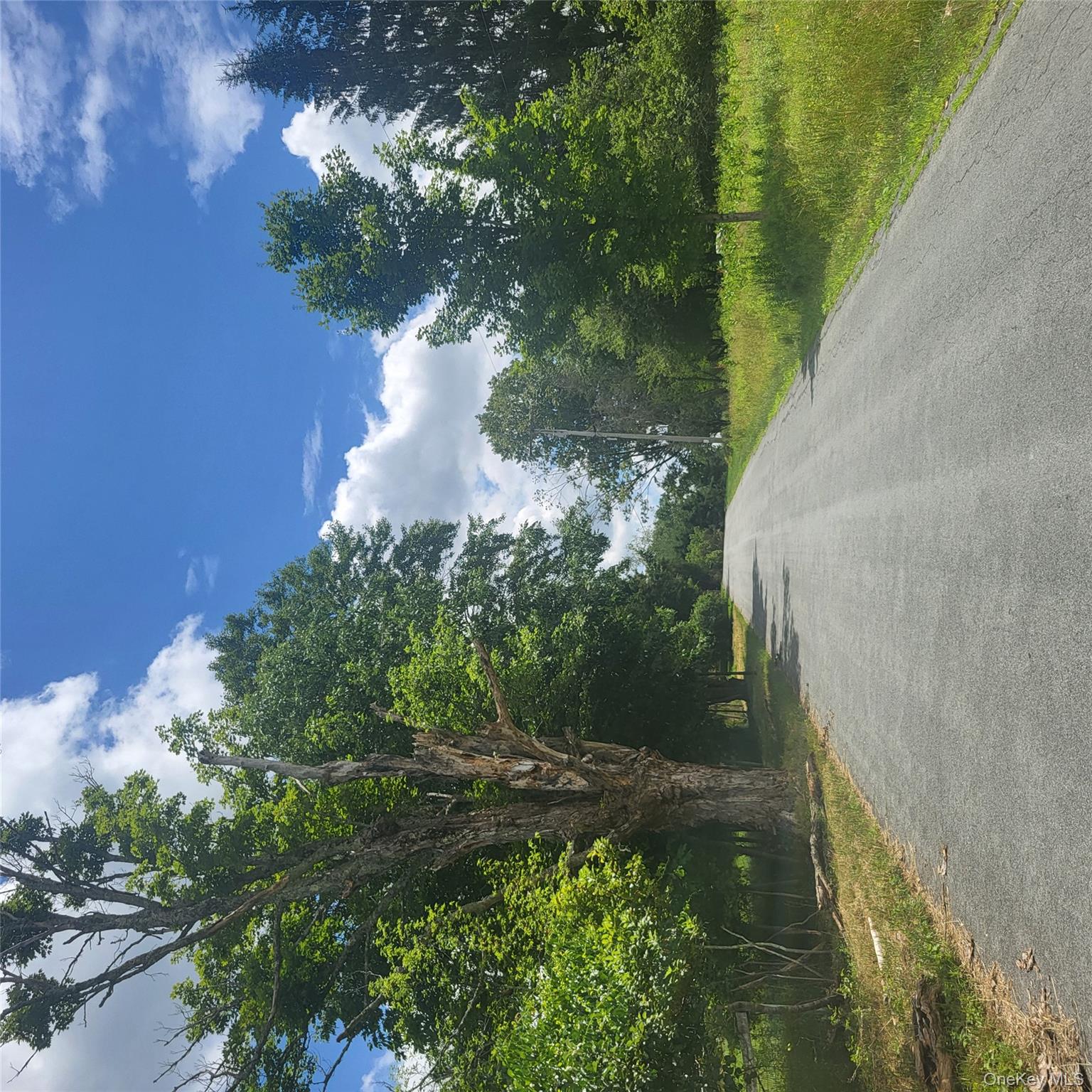 ** Creamery Road Mongaup Valley, NY 12720 - Photo 5 of 7 a view of a street with a yard and a trees