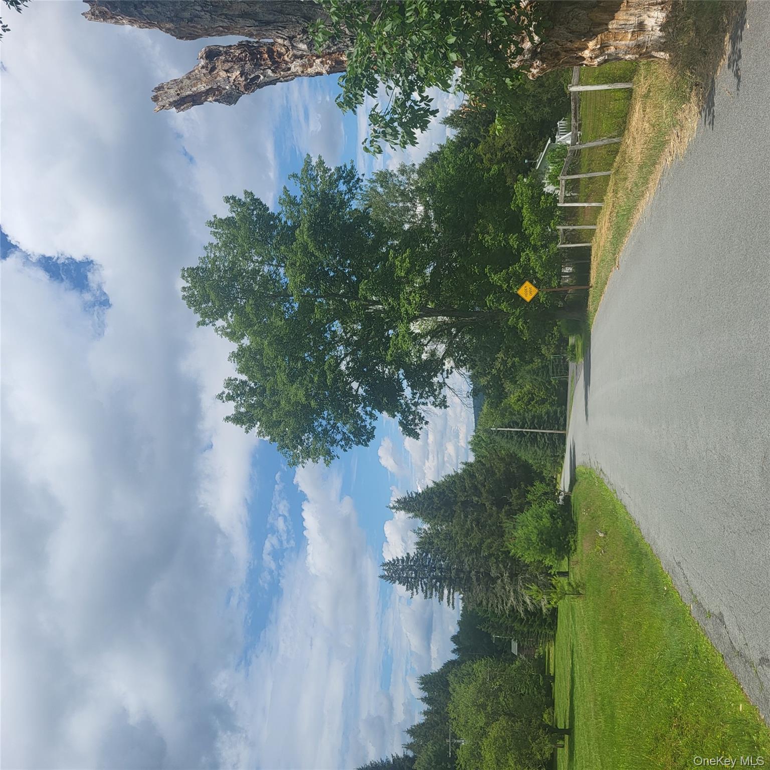 ** Creamery Road Mongaup Valley, NY 12720 - Photo 6 of 7 a view of a field of grass and trees