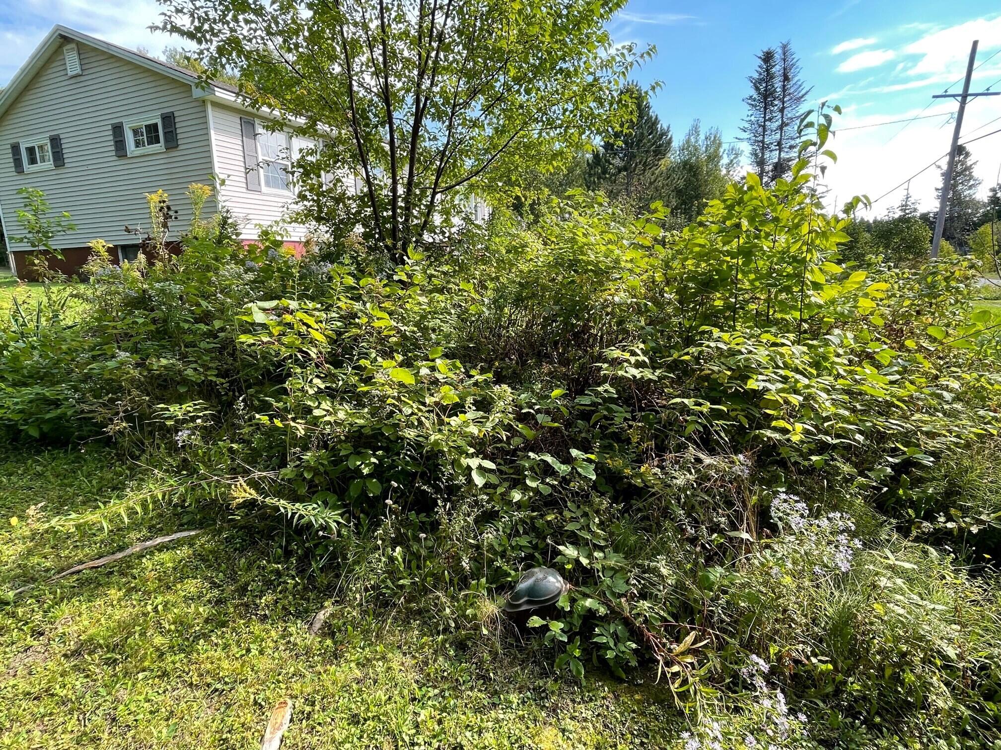 1241 Ludlow Road Houlton, ME 04730 - Photo 6 of 35 Well Location(1241 Ludlow Road) I