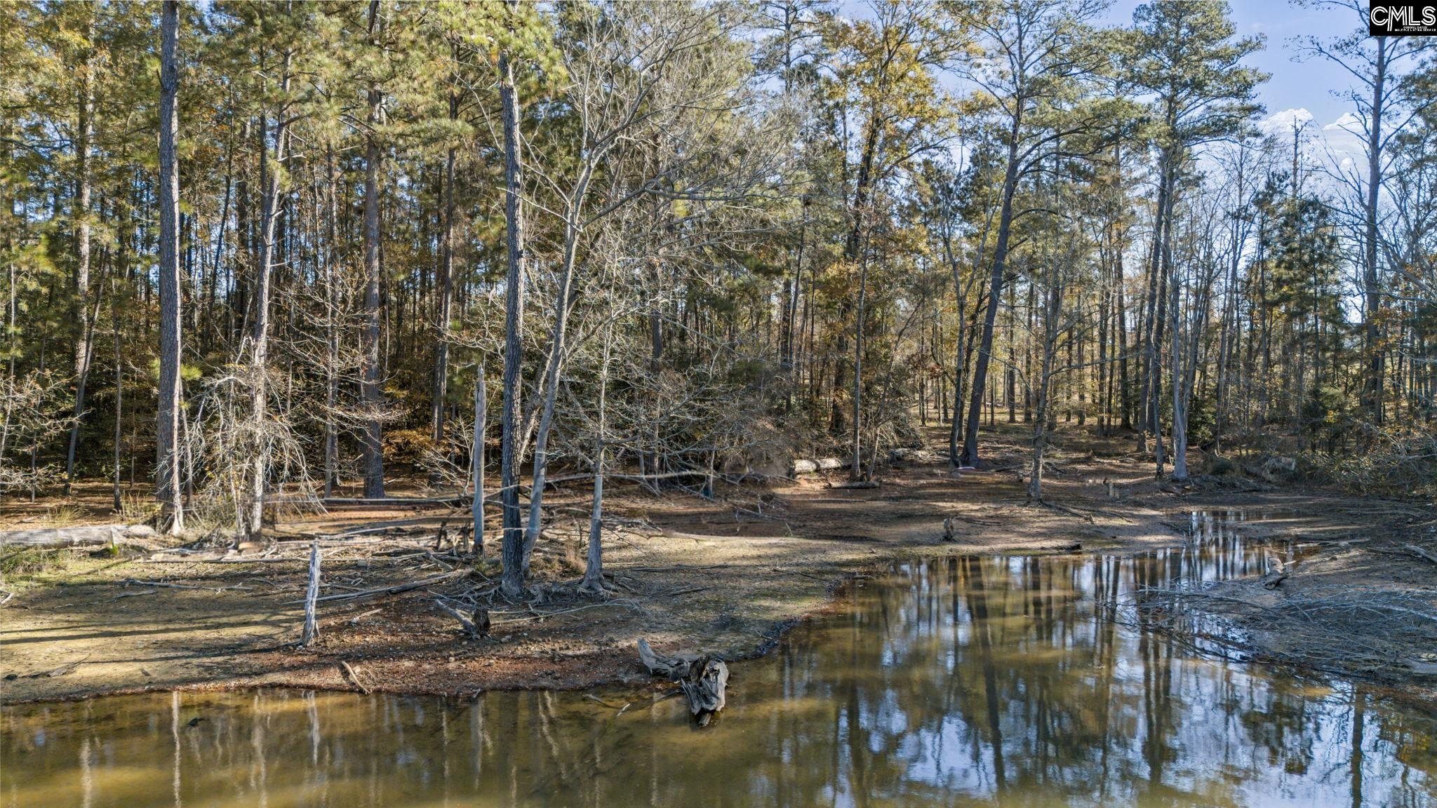 0 Navigator Trail Prosperity, SC 29127 - Photo 11 of 29
