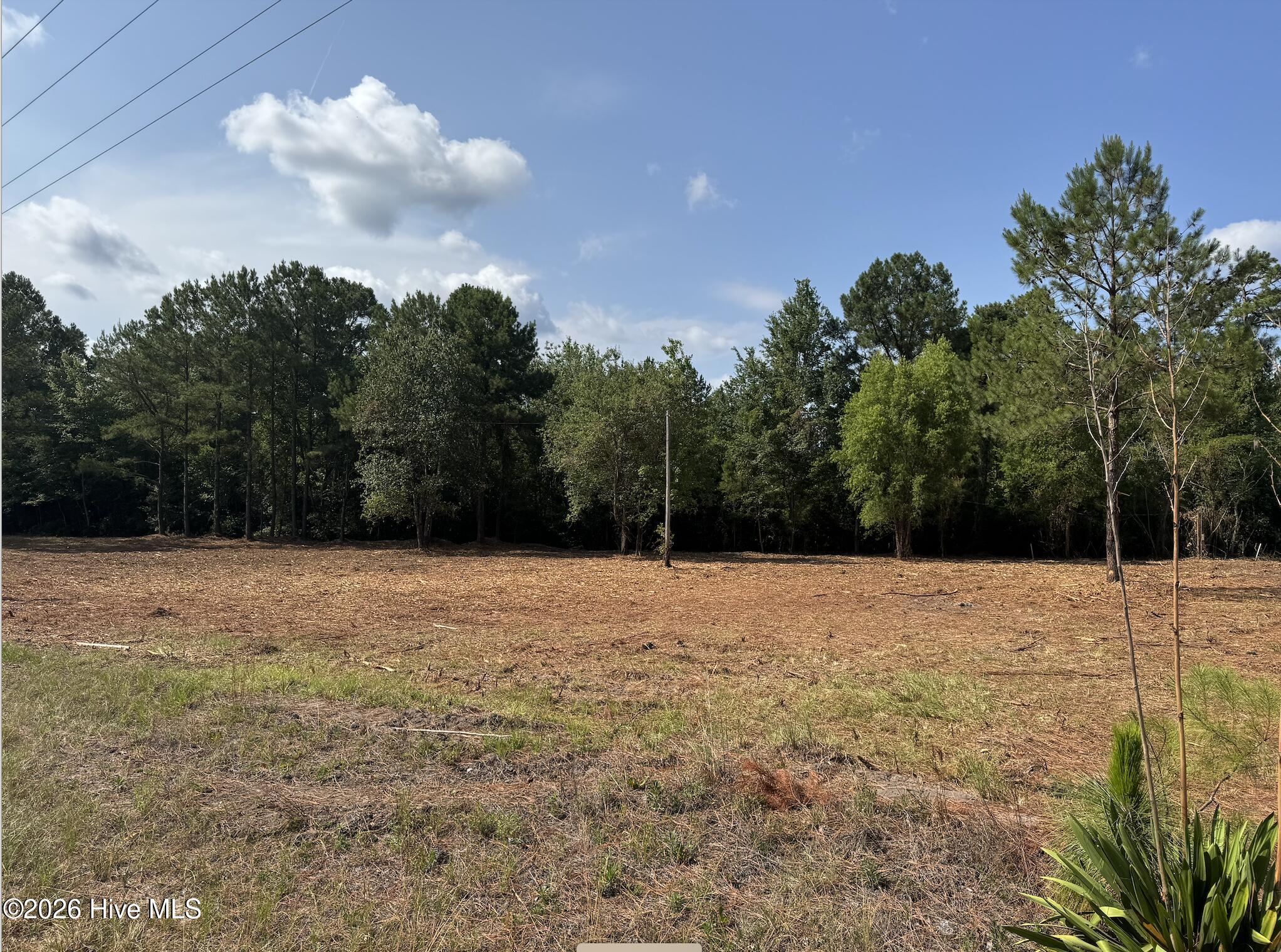 1187 Green Hill Road Northeast Leland, NC 28451 - Photo 3 of 8