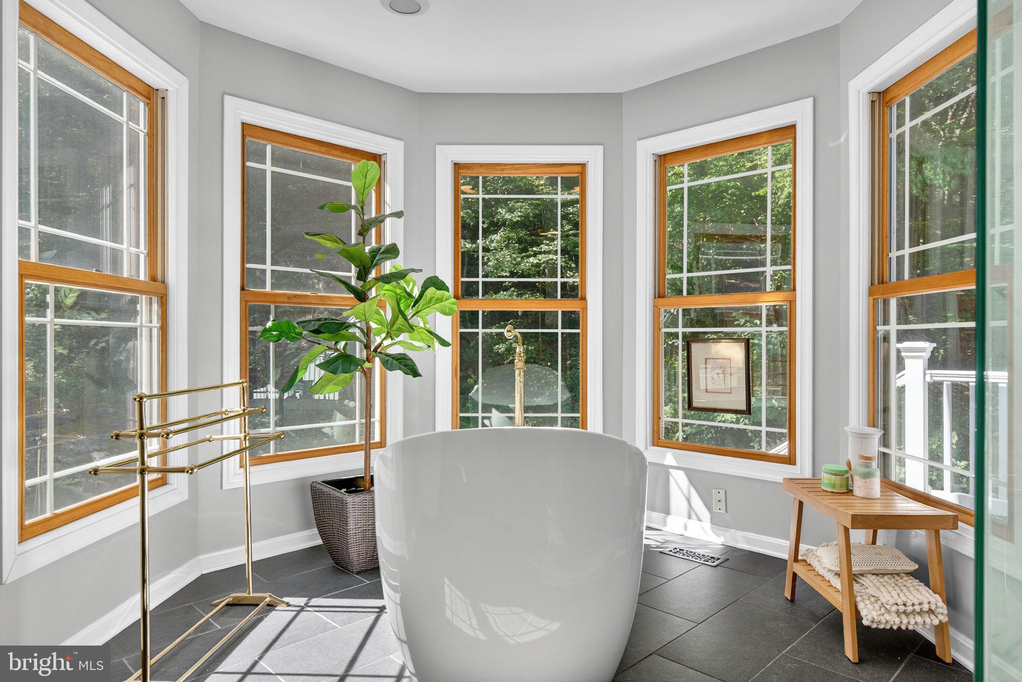 2062 Jewell Hollow Road Luray, VA 22835 - Photo 17 of 57 Beautiful soaking tub surrounded by nature
