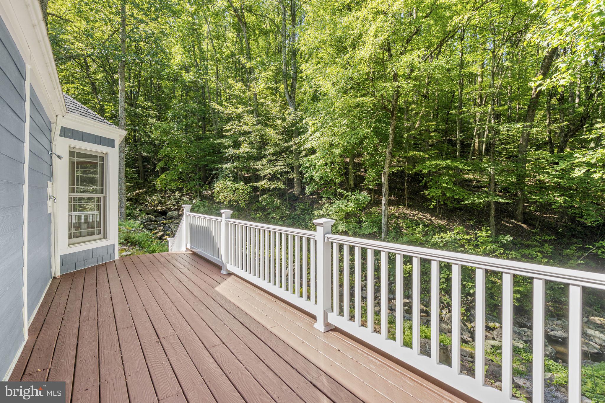 2062 Jewell Hollow Road Luray, VA 22835 - Photo 20 of 57