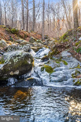 $850,000 | 2062 Jewell Hollow Road, Luray, VA 22835