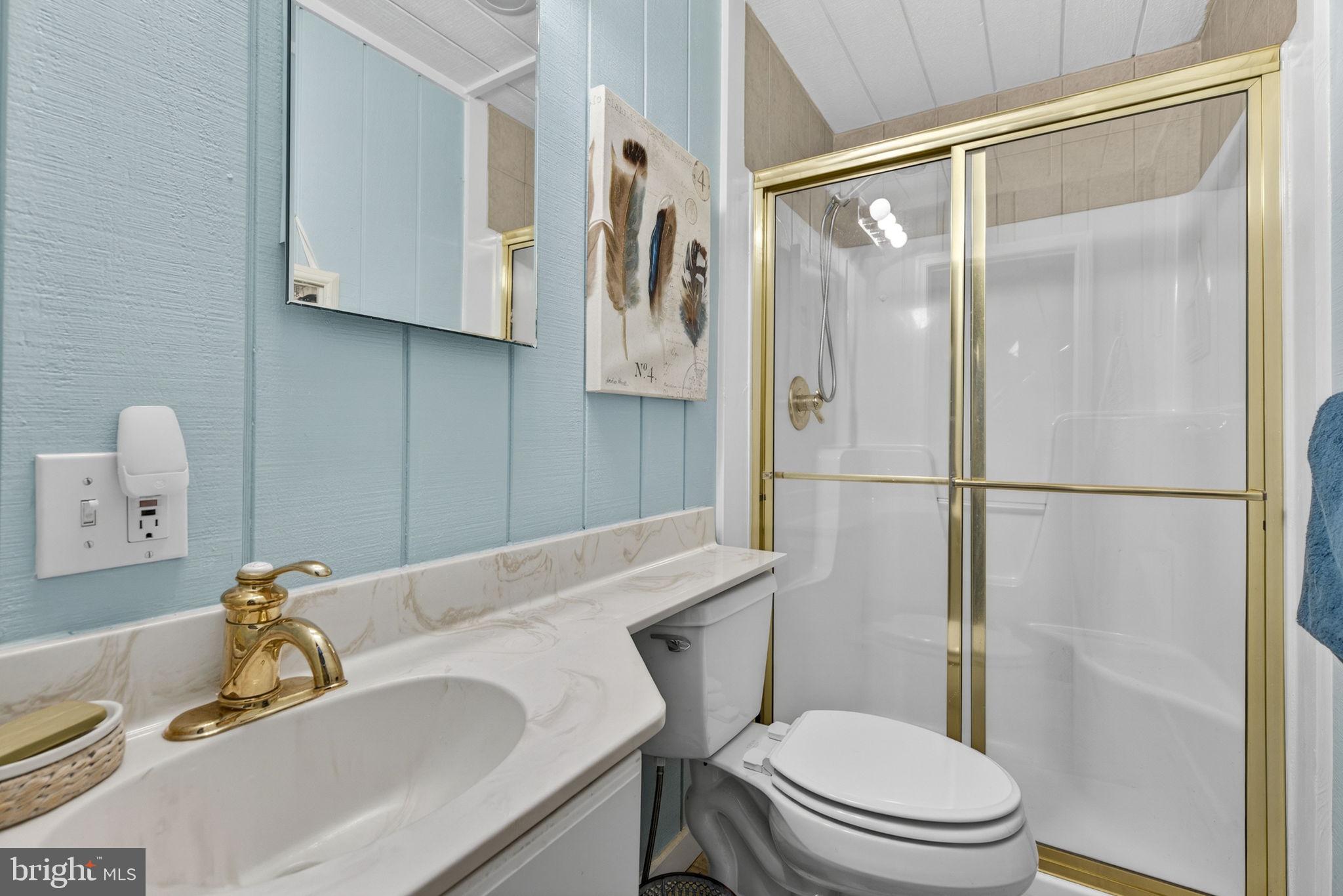 2062 Jewell Hollow Road Luray, VA 22835 - Photo 30 of 57 Bathroom 3