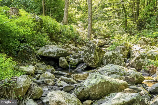 $850,000 | 2062 Jewell Hollow Road, Luray, VA 22835