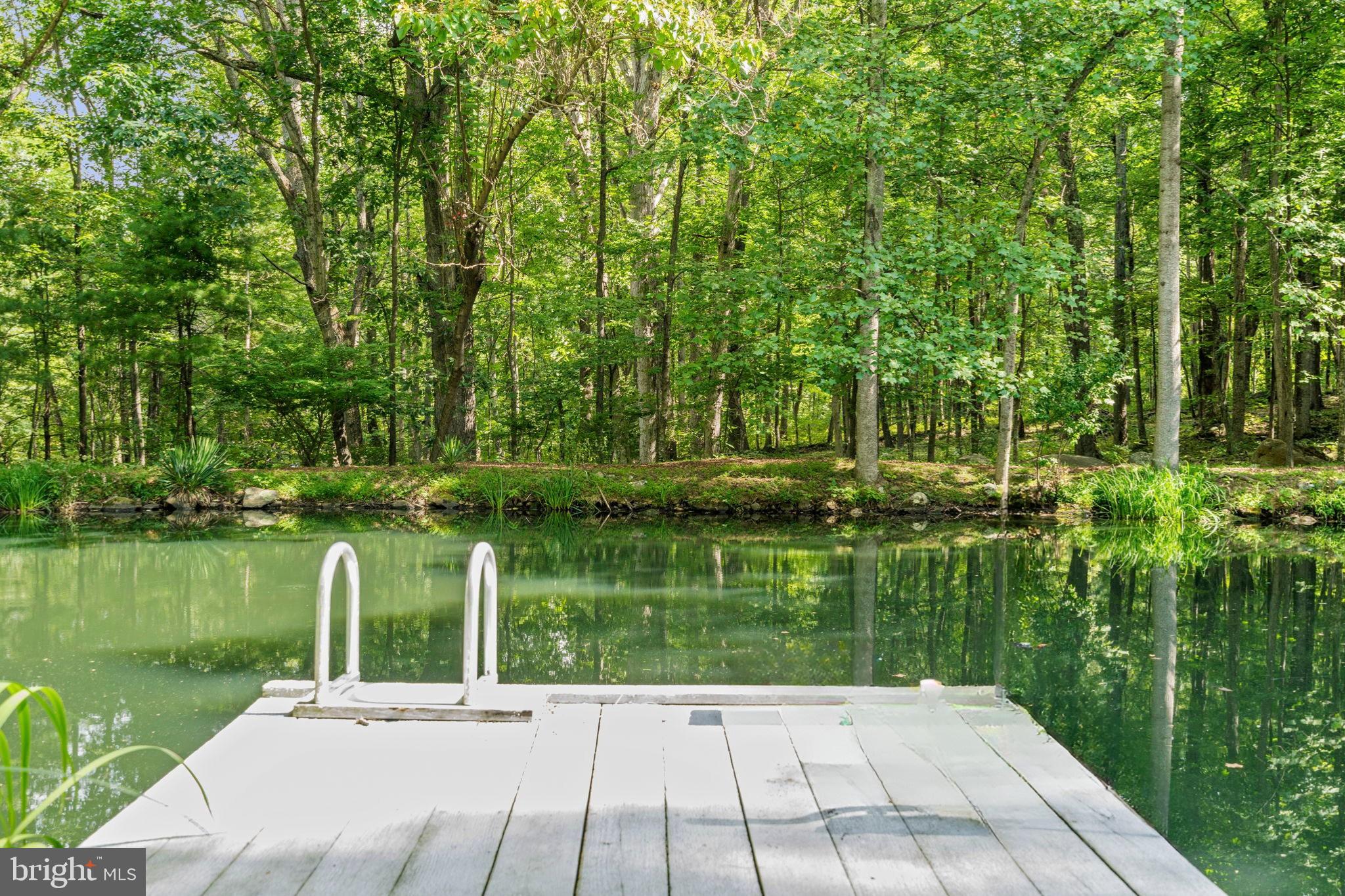 2062 Jewell Hollow Road Luray, VA 22835 - Photo 48 of 57 Dock with ladder