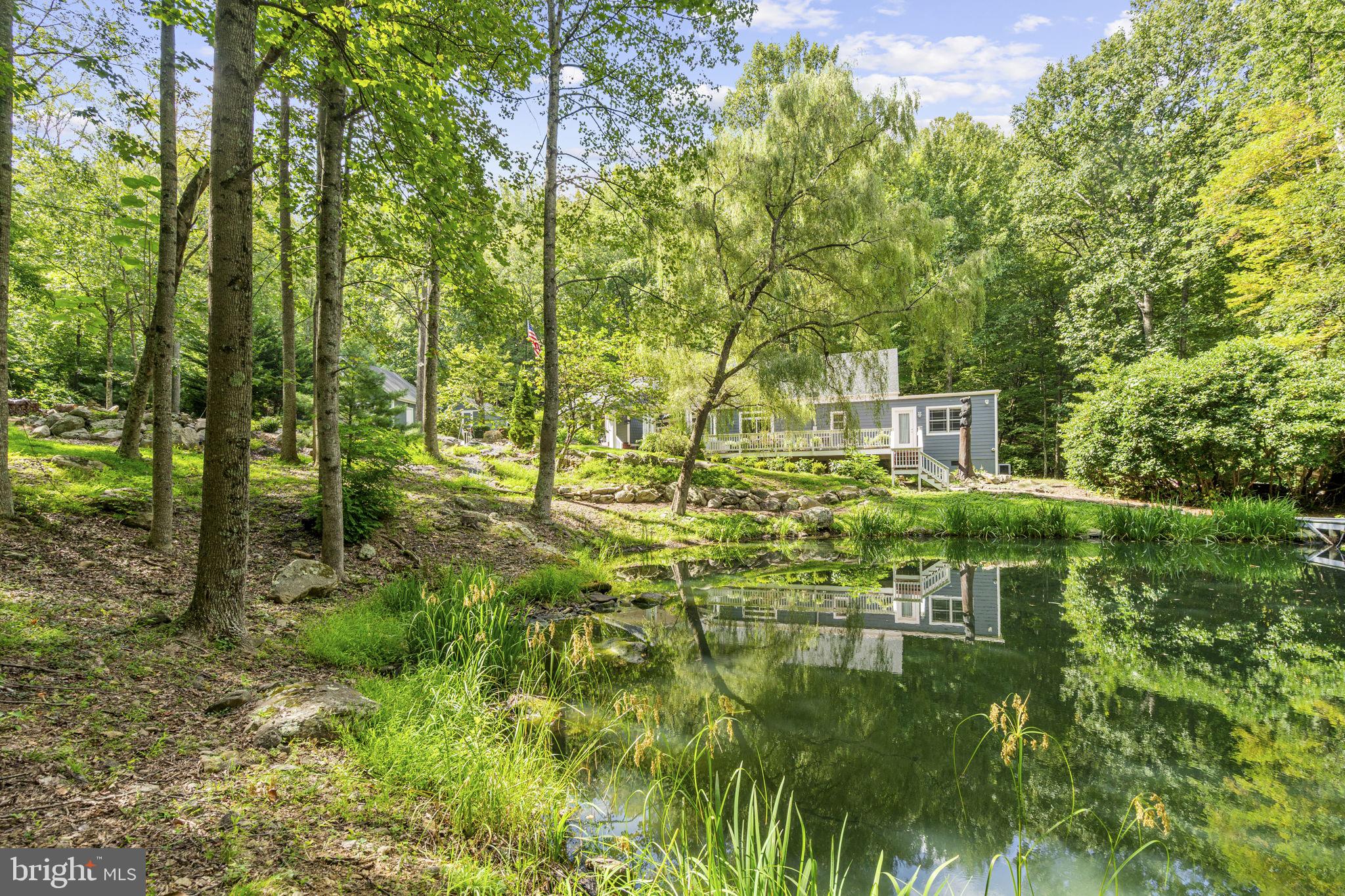 2062 Jewell Hollow Road Luray, VA 22835 - Photo 49 of 57