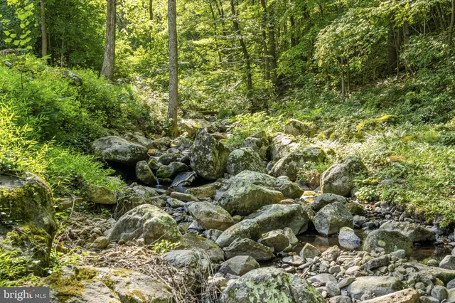 $850,000 | 2062 Jewell Hollow Road, Luray, VA 22835