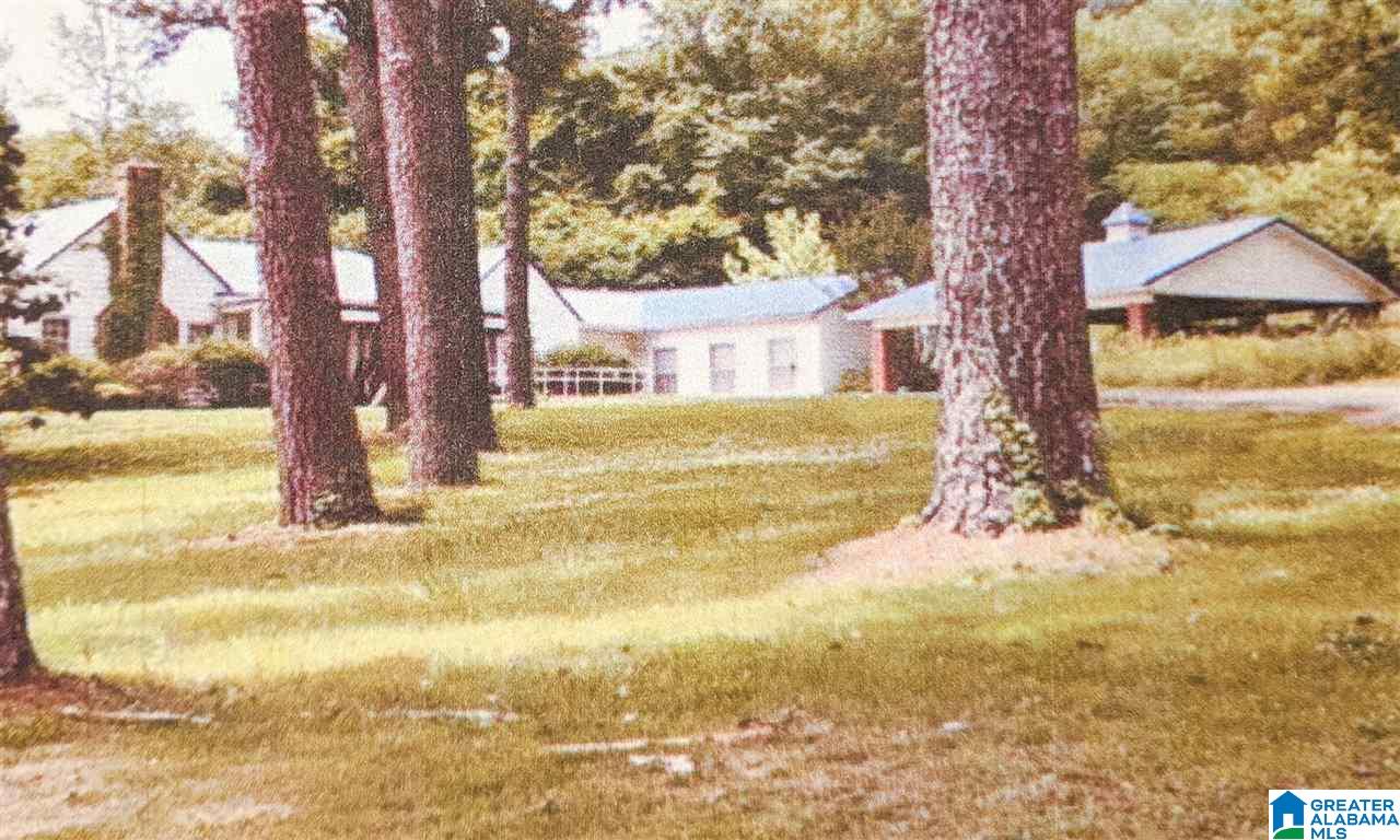 590 4th Avenue West Oneonta, AL 35121 - Photo 4 of 4