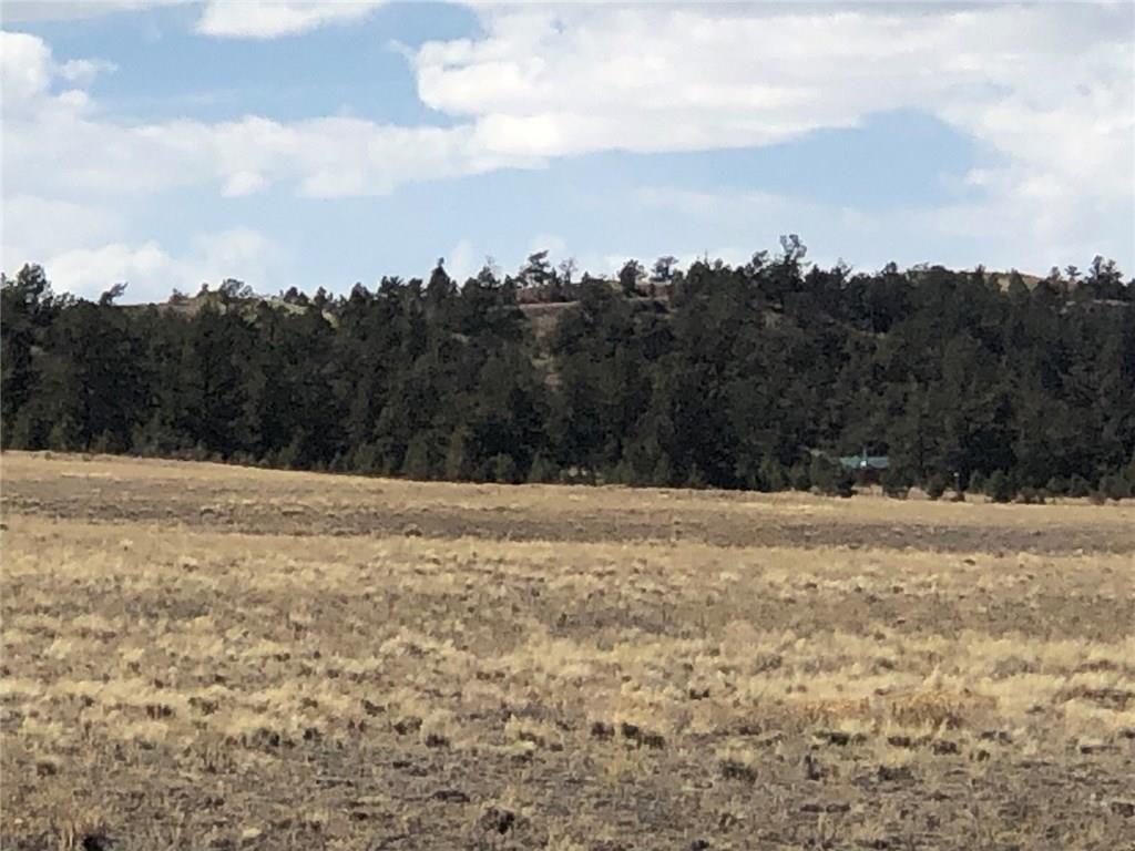 4252 Park Road Hartsel, CO 80449 - Photo 7 of 16 a view of a dry yard with trees
