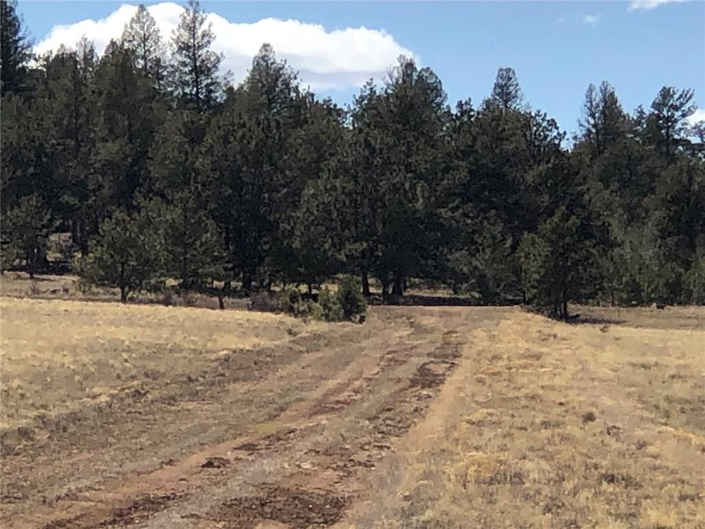 4252 Park Road Hartsel, CO 80449 - Photo 8 of 16