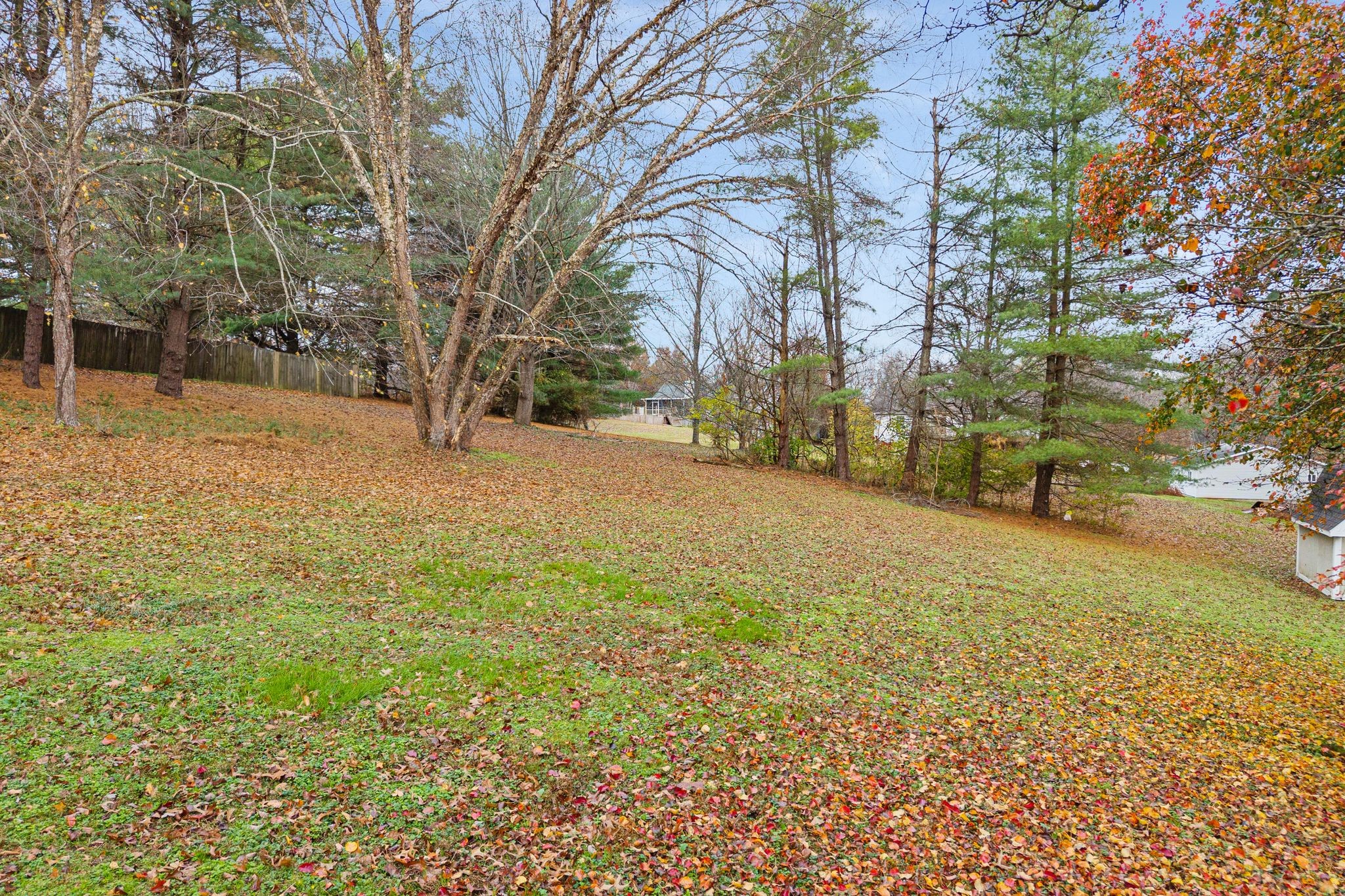 209 Pin Oak Court Spring Hill, TN 37174 - Photo 8 of 53