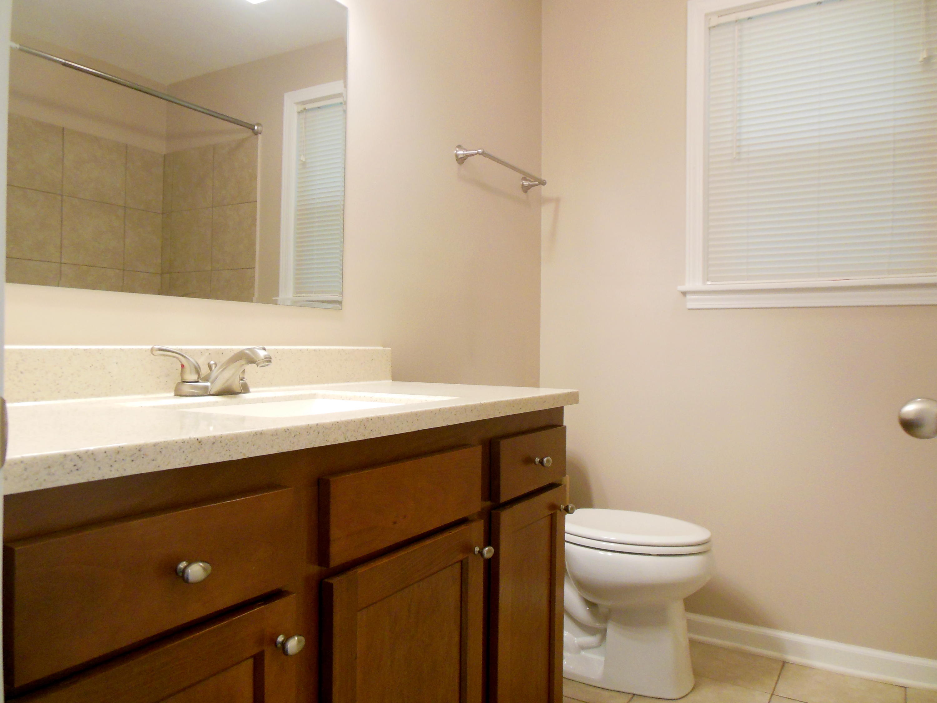 701 Riverland Road Southeast Roanoke, VA 24014 - Photo 10 of 33 a bathroom with a sink a toilet a mirror and vanity