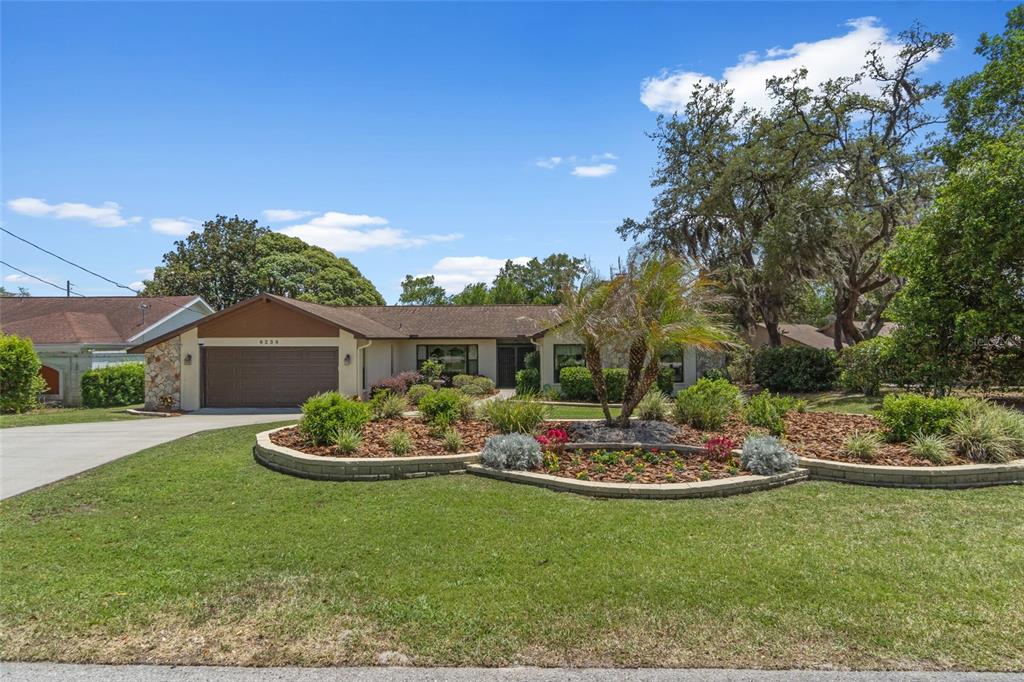6238 Dorset Road Spring Hill, FL 34608 - Photo 1 of 1 Gallery Image 1