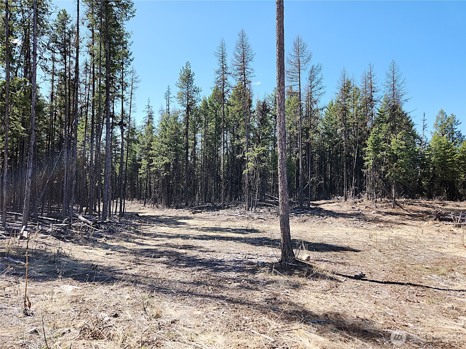286 Bardwell Road Curlew, WA 99118 - Photo 28 of 40 Gallery Image 28